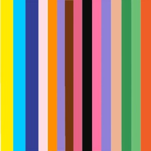 Papel Cartao 48X66cm Pacote Com 20 Folhas