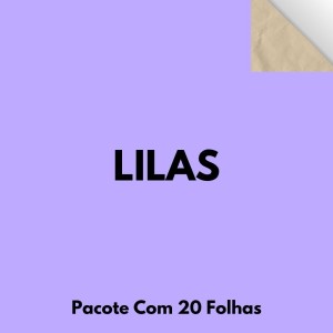 Papel Cartao 48X66cm Pacote Com 20 Folhas