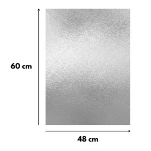 CARTOLINA LAMINADA 48X60 UNIDADE