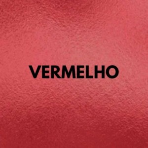 CARTOLINA LAMINADA 48X60 UNIDADE