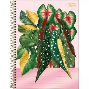 CADERNO UNIVERSITARIO 10 MATERIA 160 FLS NATURALIS TILIBRA