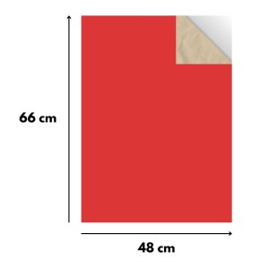 Papel Cartao 48X66cm Pacote Com 20 Folhas