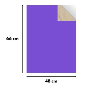 Papel Cartao Folha 48X66cm - Unidade