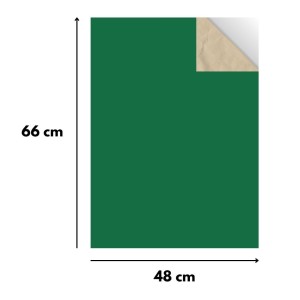 Papel Cartao Folha 48X66cm - Unidade