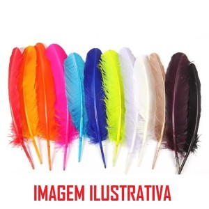 PENA COLORIDA PCT C/3GR (DE 5 A 6 UN) APX.5 A 9CM CORES & BRILHOS