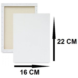 TELA ARTISTICA P/PINTURA 16X22CM